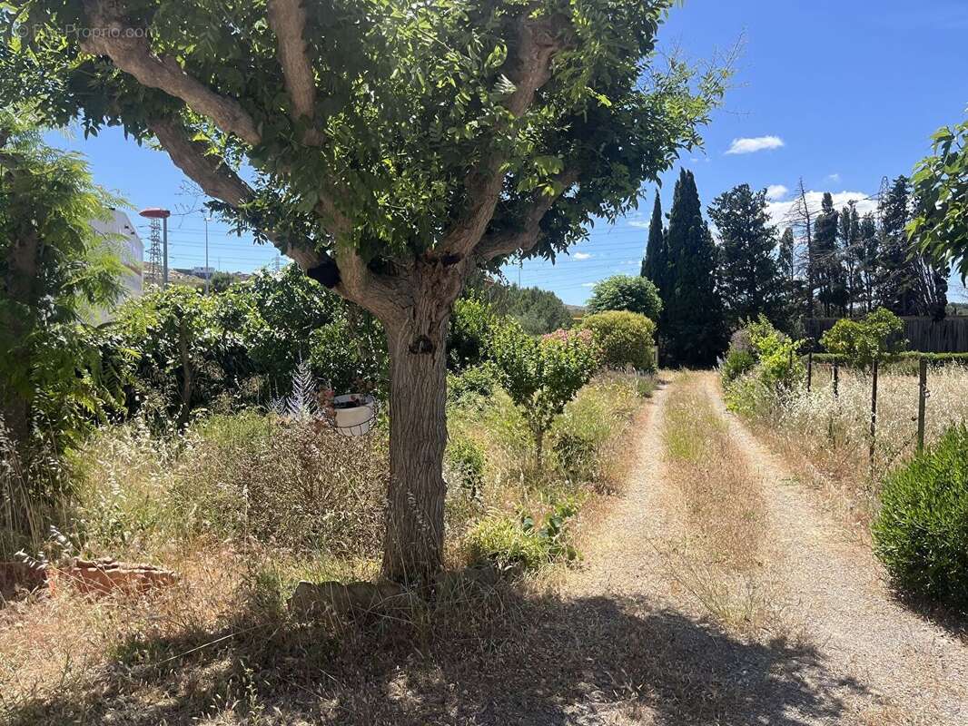 Maison 64m² à narbonne - photo 5