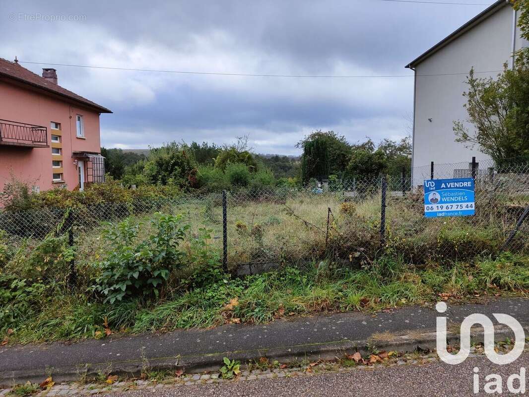 Photo 2 - Terrain à HOMBOURG-HAUT