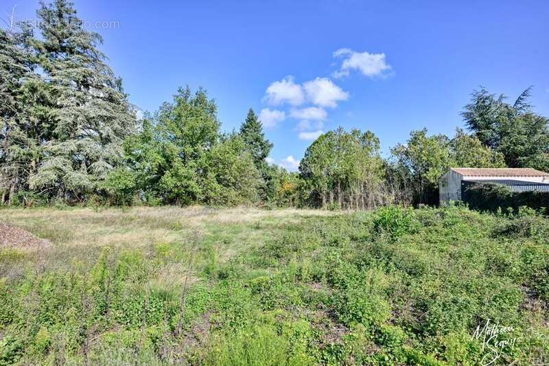 Terrain à POLLIONNAY