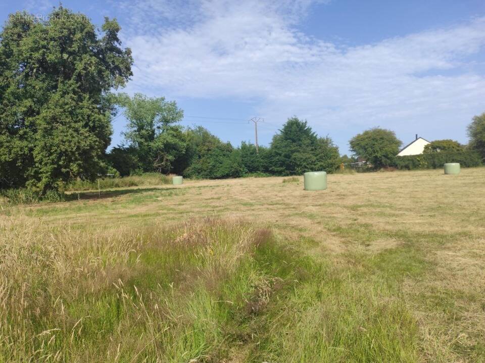 Terrain à BOULLEVILLE