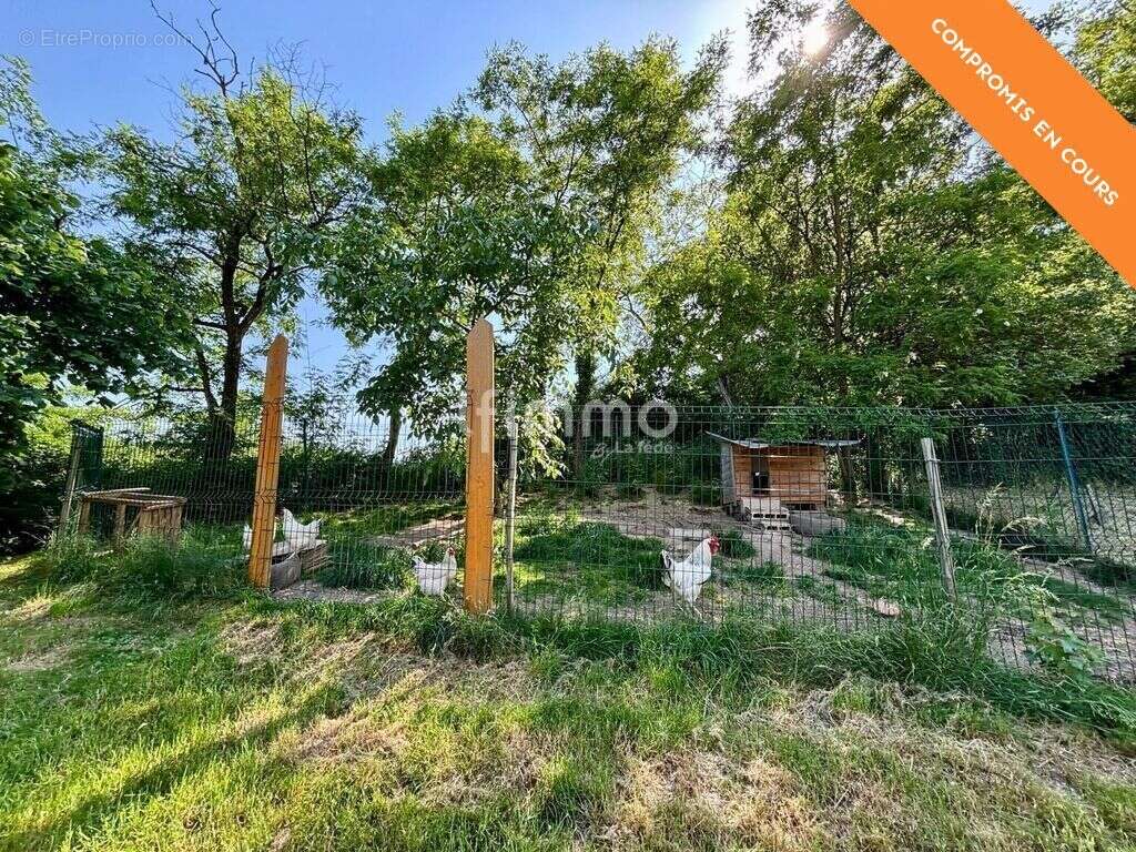 Maison familiale d’exception : calme, nature et vue panoramique - photo 14
