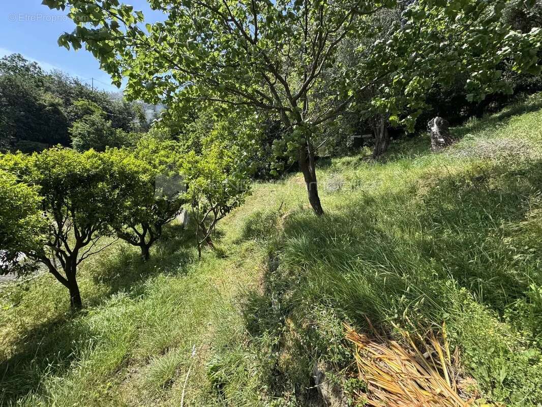 Maison a renover entierement avec terrain proche menton - photo 13