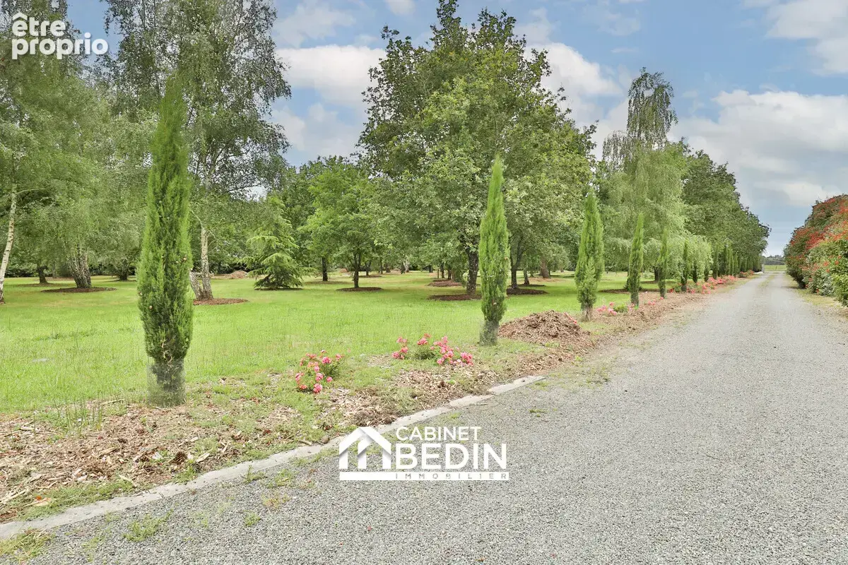 Maison 8 pièces 292 m² à vendre à Gujan-Mestras (33470) - photo 8