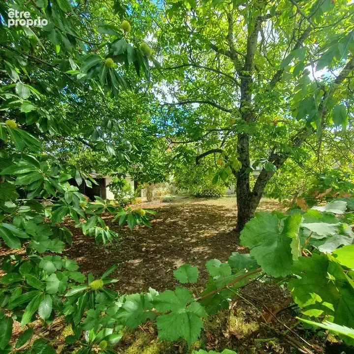 Longere 128m2 4 chambres 1167m2  terrain en plein centre - photo 3