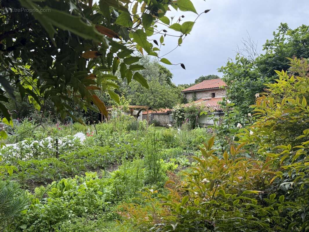Maison à SAINT-VIAUD