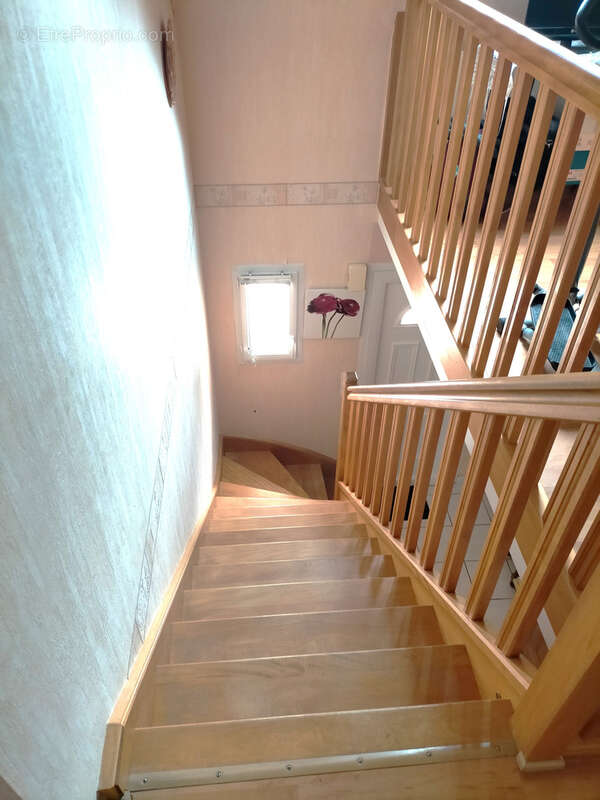 Maison à PLESSIX-BALISSON