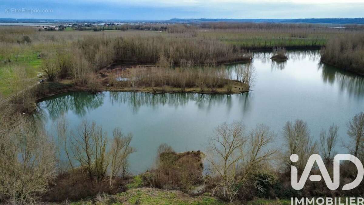 Terrain 125000 m² à Castelferrus  - photo 5