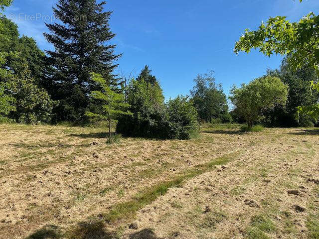 Terrain à BOURG-LE-COMTE