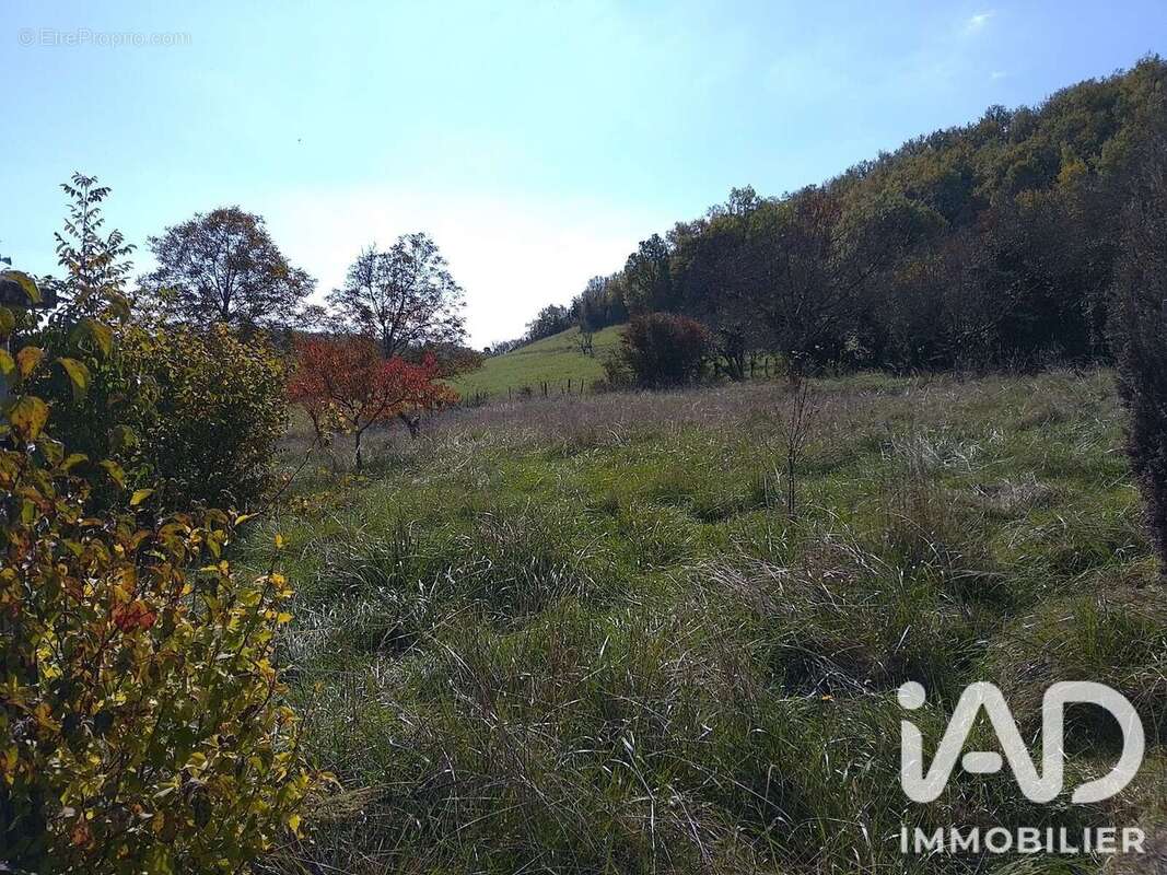 Terrain 726 m² à Cuzieu  - photo 6