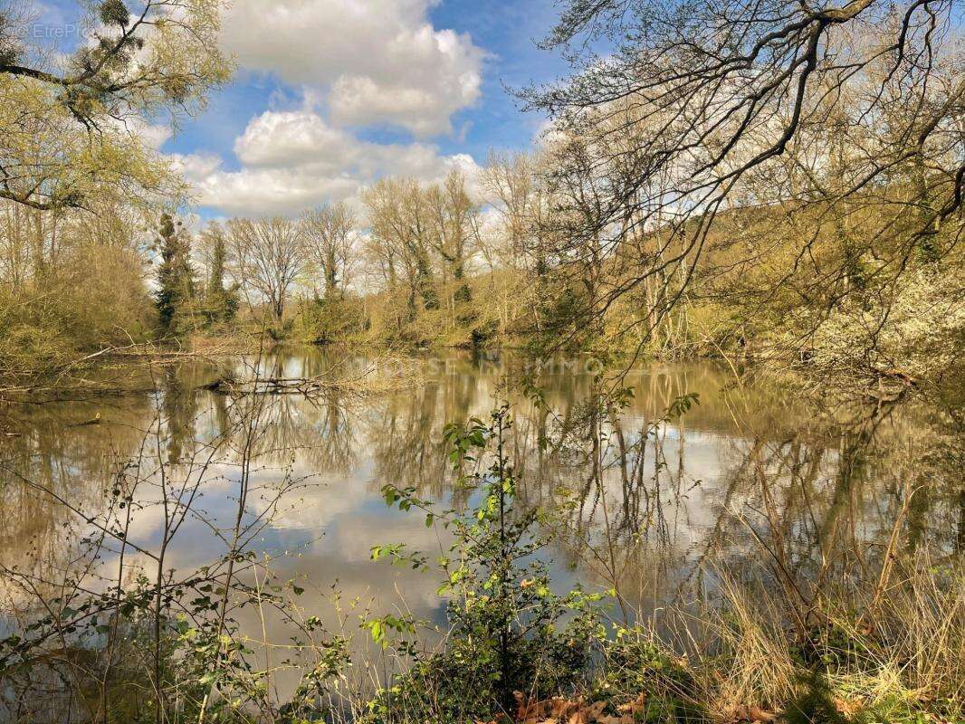 Maison à MORTAGNE-AU-PERCHE