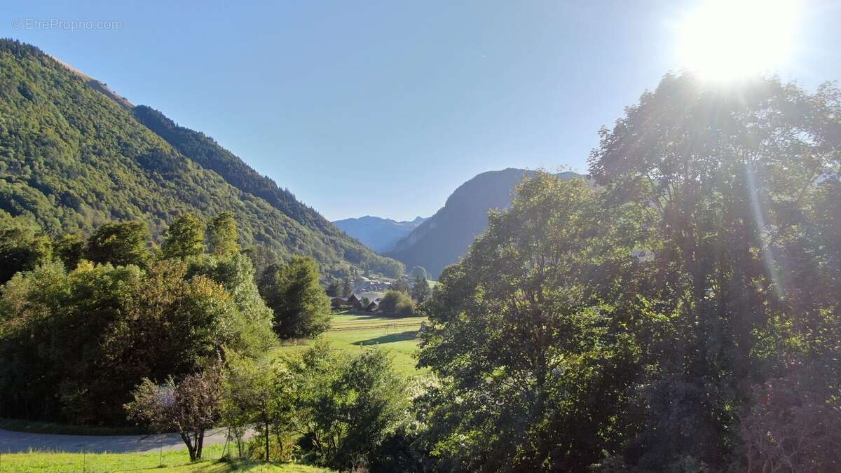 Terrain à ESSERT-ROMAND