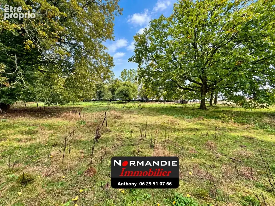 Ancienne dépendance de château – maison en pierre – 1,3 hectare – fort potentiel - photo 5