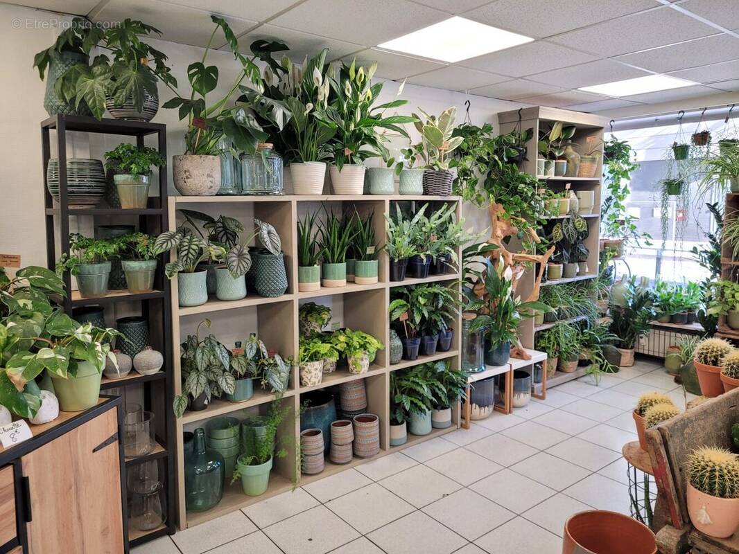 Commerce à VILLEURBANNE