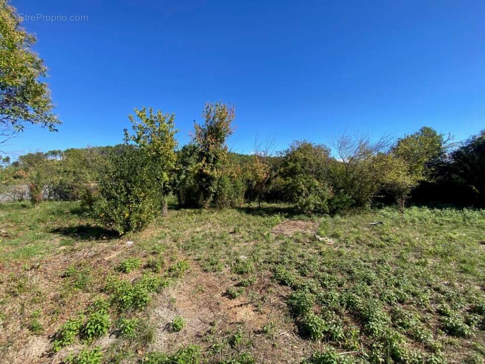 Terrain 604 m² à Carnoules  - photo 2