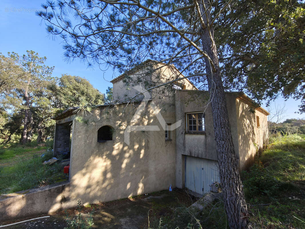 Maison à ZONZA