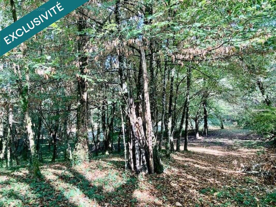 Photo 3 - Maison à CAZAUBON