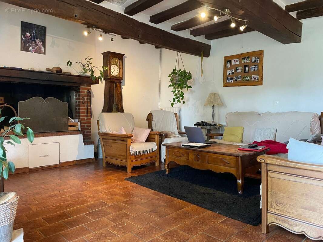 Salon avec cheminée - Maison à SAINT-AUBIN-DES-COUDRAIS