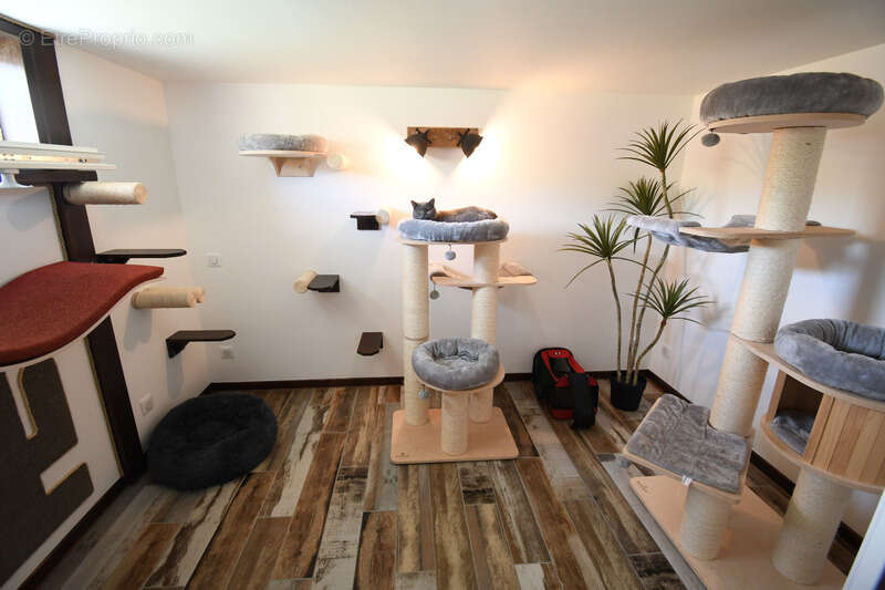 Maison à ALLONDRELLE-LA-MALMAISON