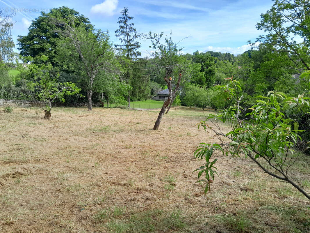 Terrain à SAVIGNAC