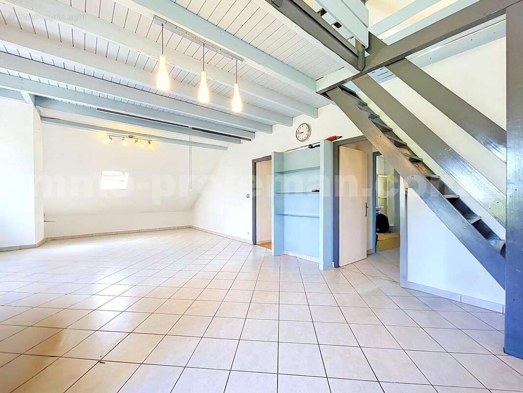 Appartement_T4_Ambilly_proche_frontière_Suisse_DOUANE_TRAM_CEVA_LEMAN_EXPRESS_GENEVE_VOIE_VERTE_cuisine_équipée_Séjour_ - Appartement à AMBILLY