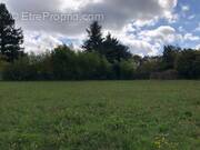 Terrain à SAINTE-MAURE-DE-TOURAINE