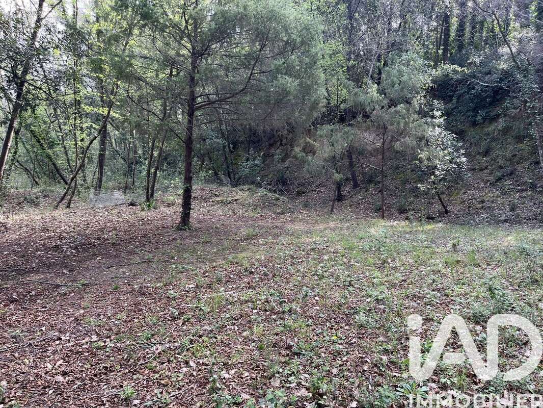 Photo 7 - Terrain à PEGOMAS