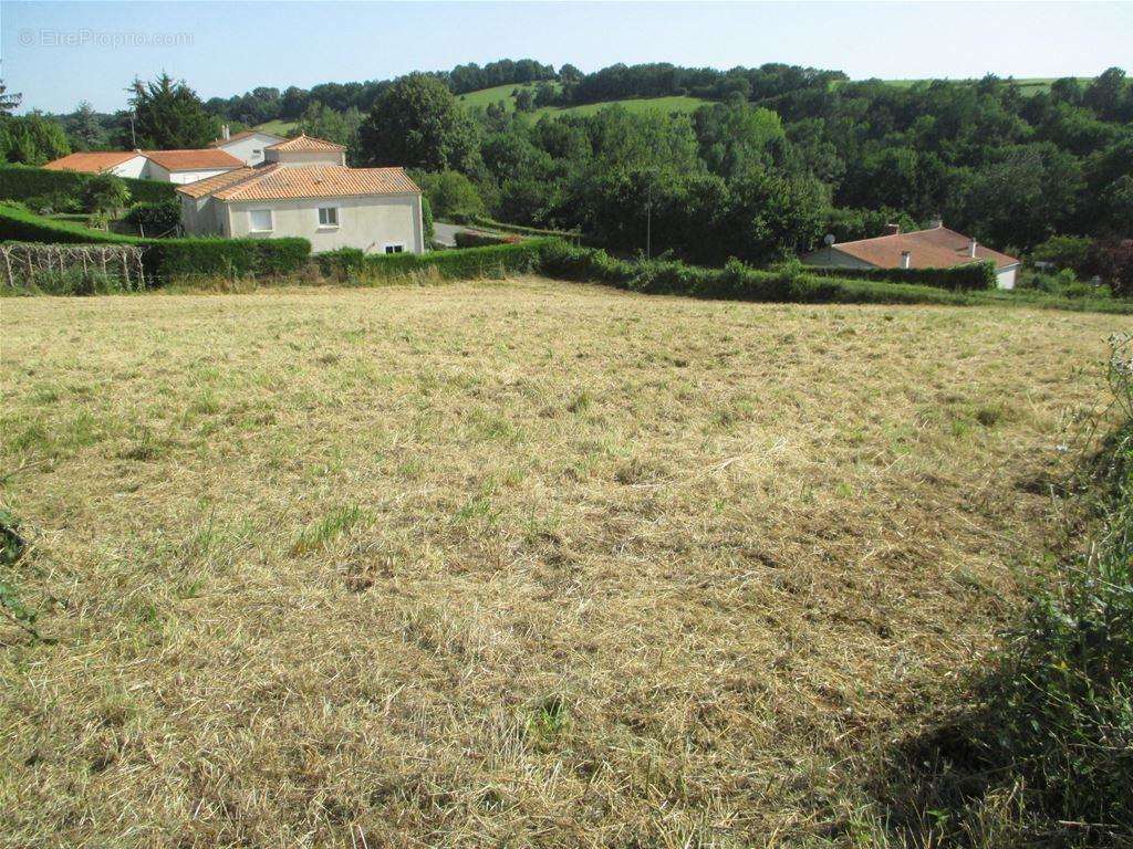 Tous les réseaux passent en limite du terrain - Terrain à LA MEILLERAIE-TILLAY