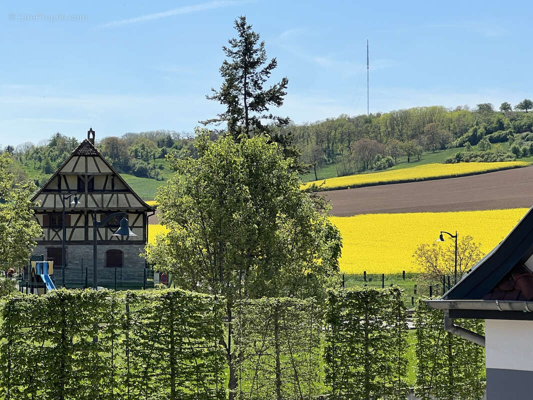Maison à WILLGOTTHEIM