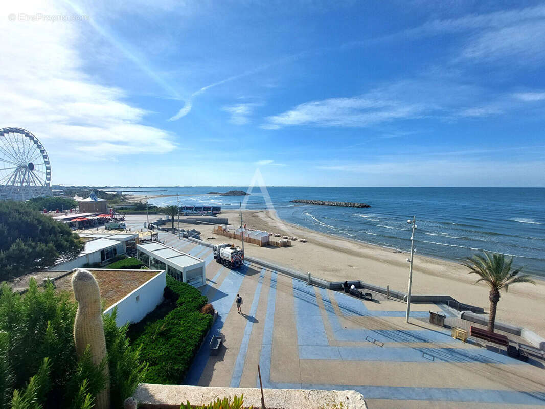 EXCLUSIVITE  Appartement La Grande Motte 4 pièces 78.01 m2 - photo 5
