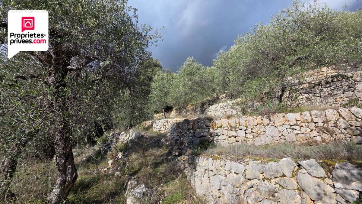 Terrain à SAINT-CEZAIRE-SUR-SIAGNE