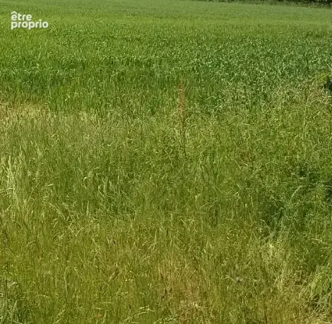 Terrain à BOURGNEUF-EN-RETZ