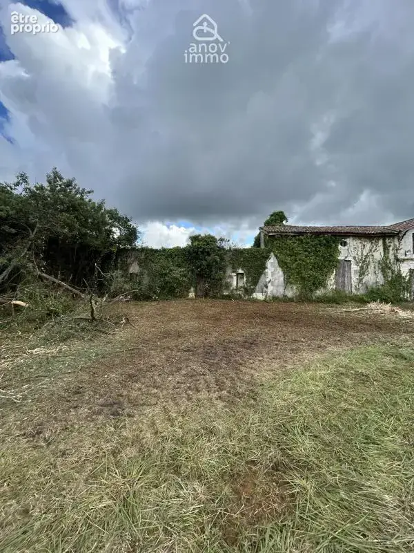 Maison de caractère 193 m2 à rénover   Domaine de 8,6 ha ave - photo 16