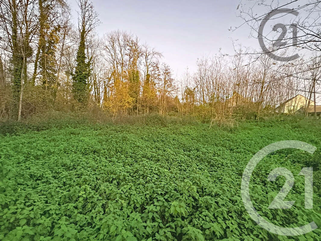 Terrain à CHALAUTRE-LA-PETITE