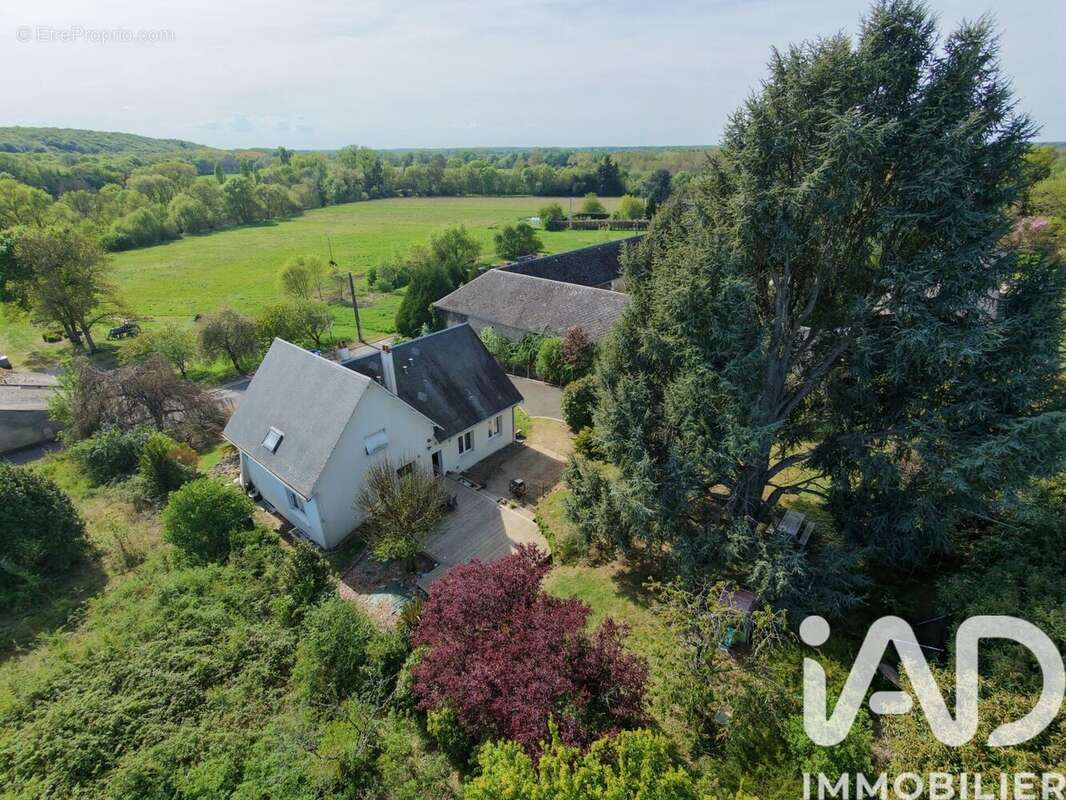 Photo 2 - Maison à CANDE-SUR-BEUVRON