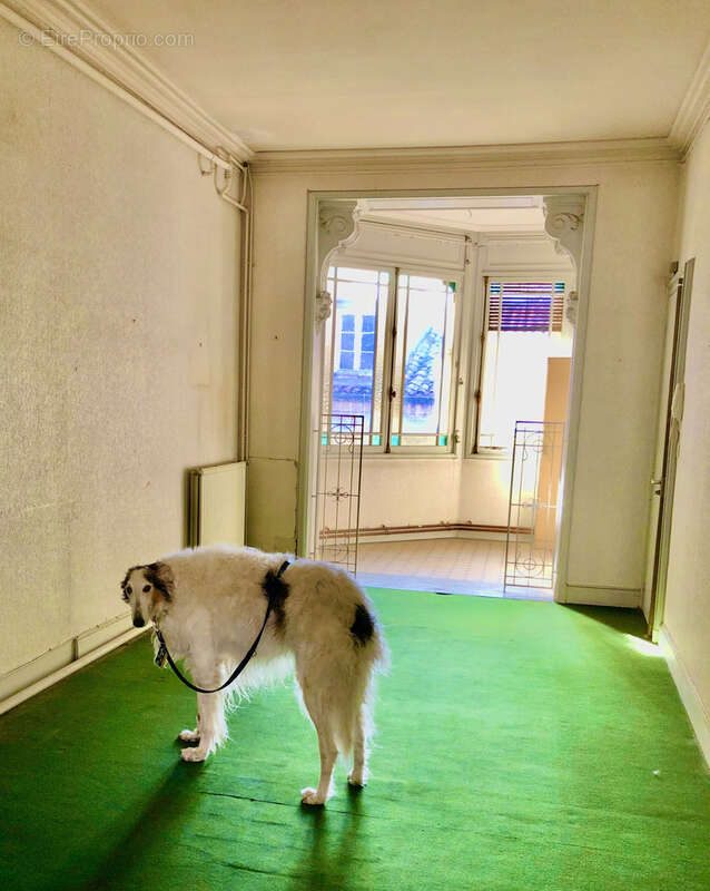 Appartement à BEZIERS