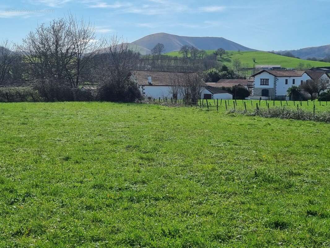Terrain à ARMENDARITS