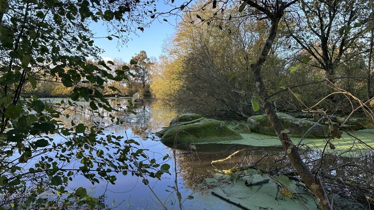 Terrain à CHAILLE-SOUS-LES-ORMEAUX