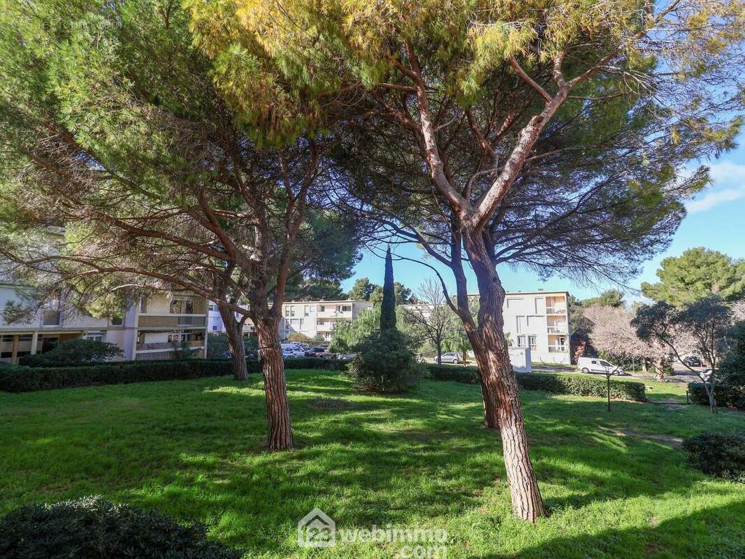 Appartement à MARSEILLE-8E
