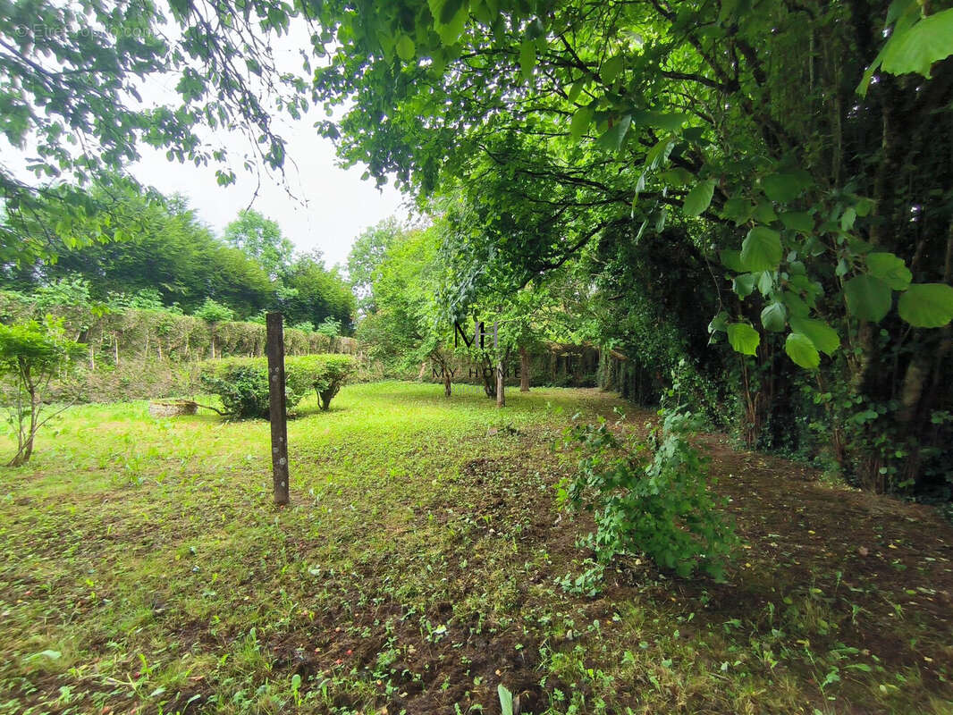 jardin - Maison à LALACELLE