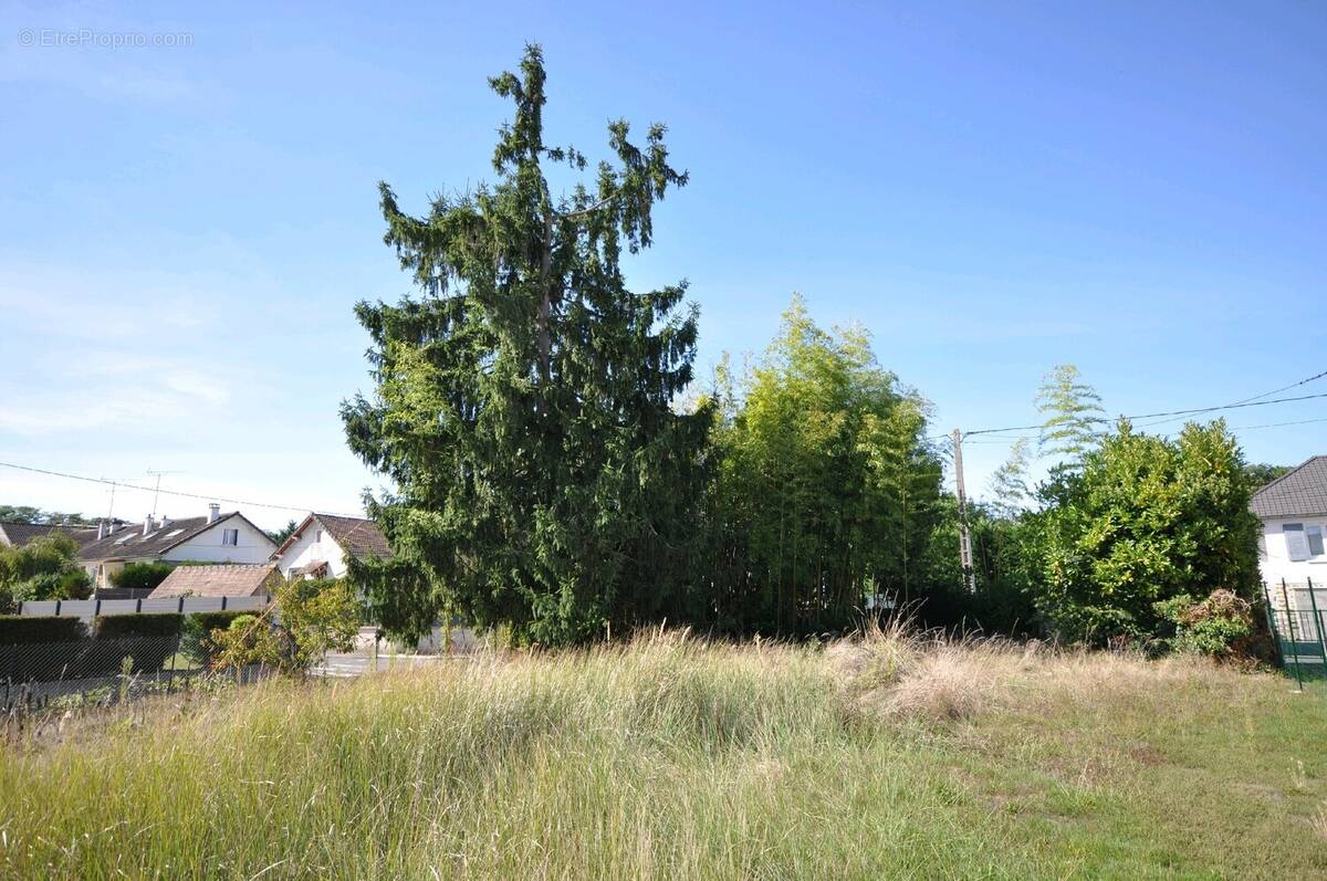 Terrain à BRUYERES-LE-CHATEL