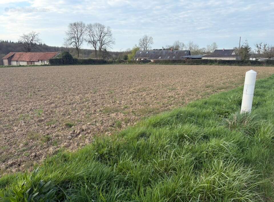 Terrain à FRESQUIENNES