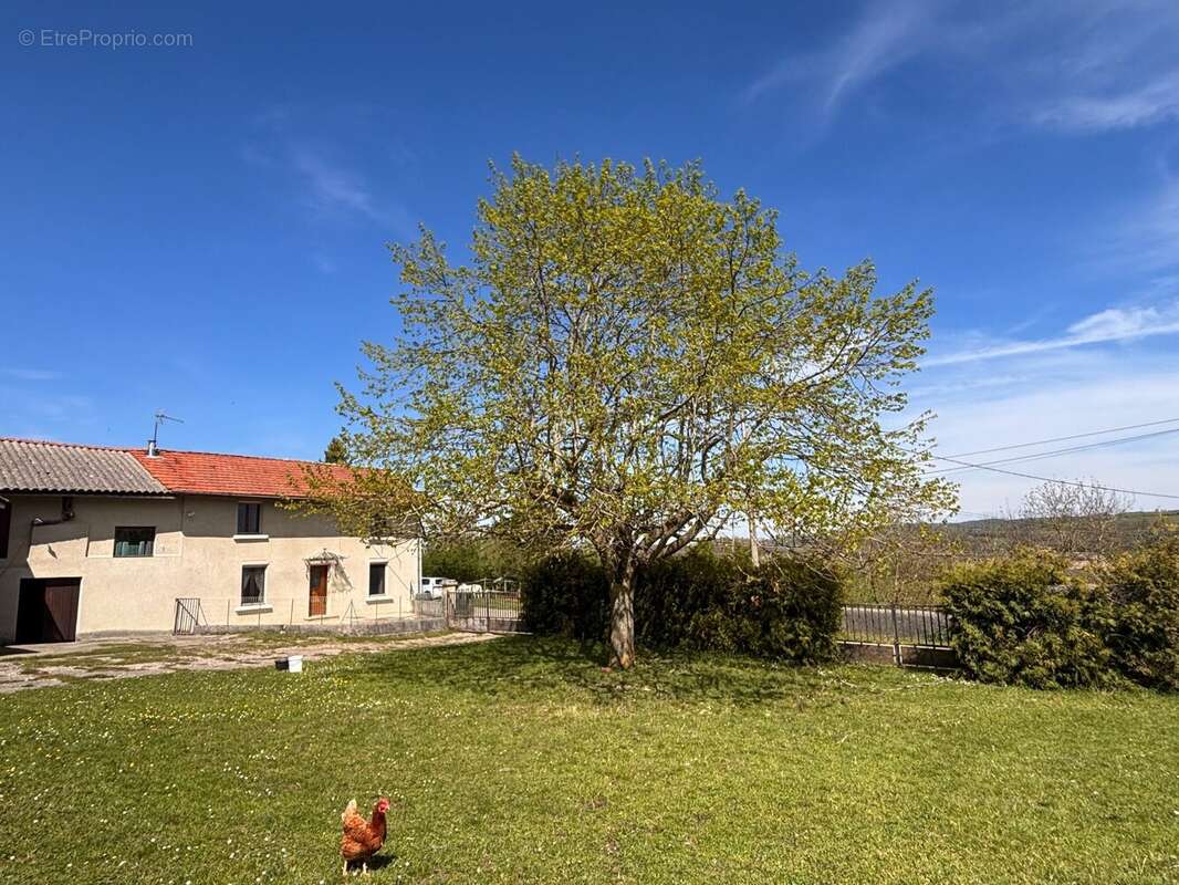 Maison à CHAMPIER