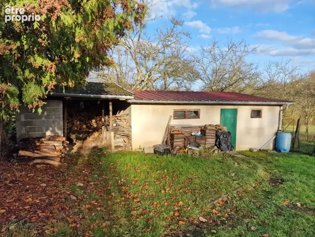 Dpt Vosges (88), à vendre secteur MIRECOURT Jolie MAISON T4 Plain-pied avec GARAGE / TERRAIN de 1150 m2 - photo 3
