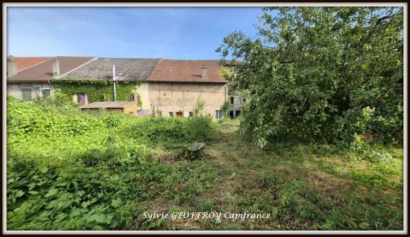 Maison à vendre 8 pièces CELLES SUR PLAINE (88) - photo 11
