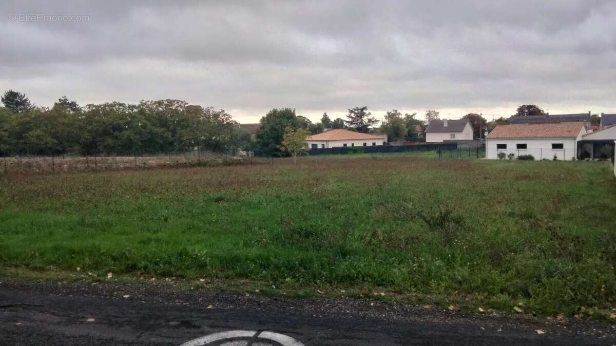 Terrain à NEUVILLE-DE-POITOU