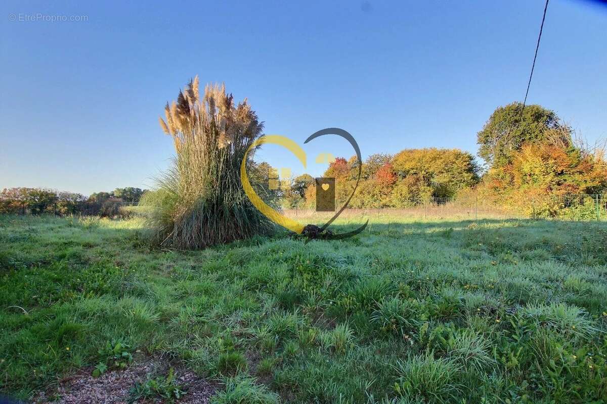 Maison à SAINT-MARTIN-D&#039;AUXIGNY