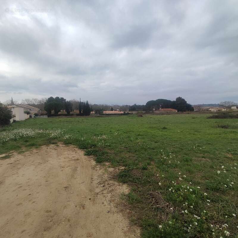 Terrain à SALLES-D'AUDE