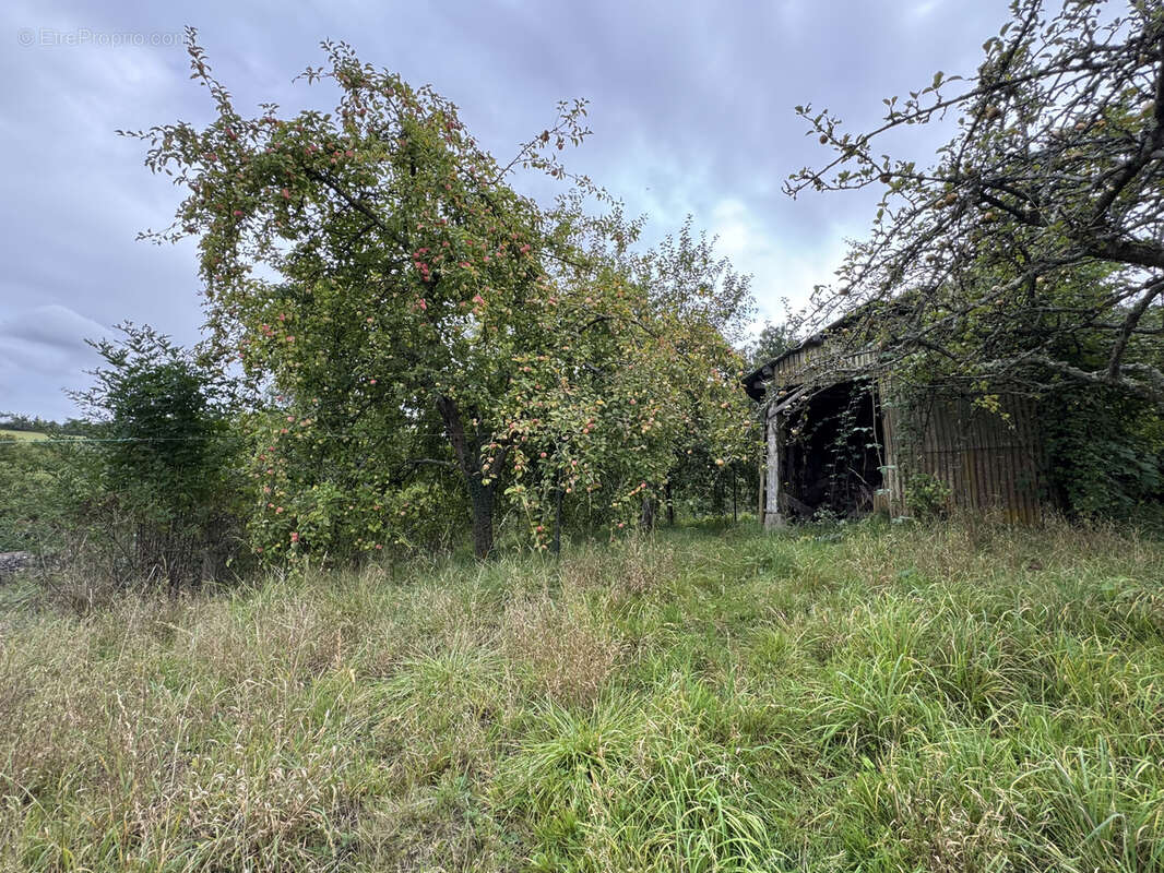 Maison à MOYENNEVILLE