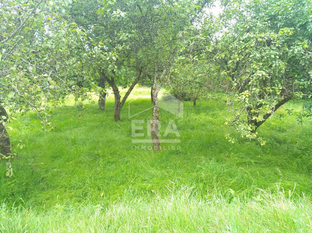 Terrain à GRANGES-SUR-VOLOGNE