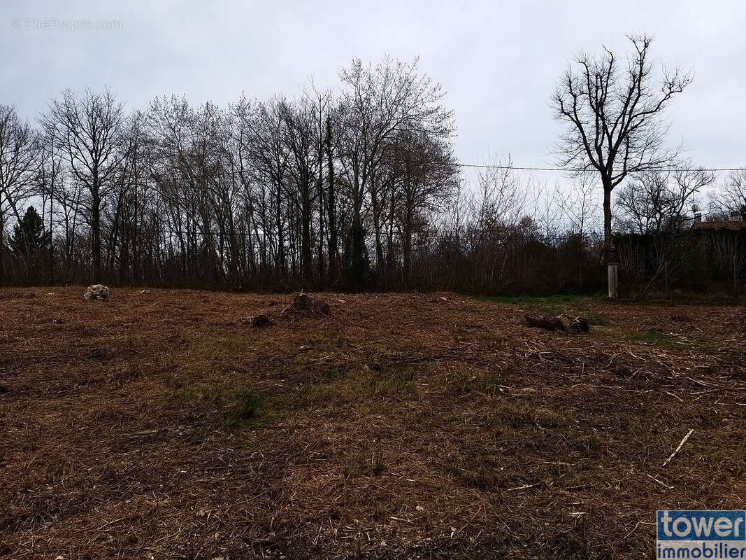 Terrain à SERS